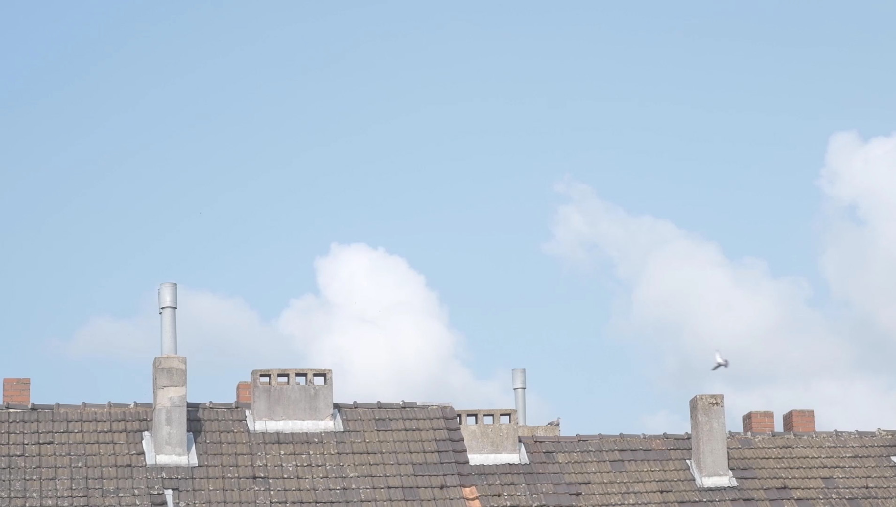 Neolithic Mourning filmstill copyright Pai Litzenberger