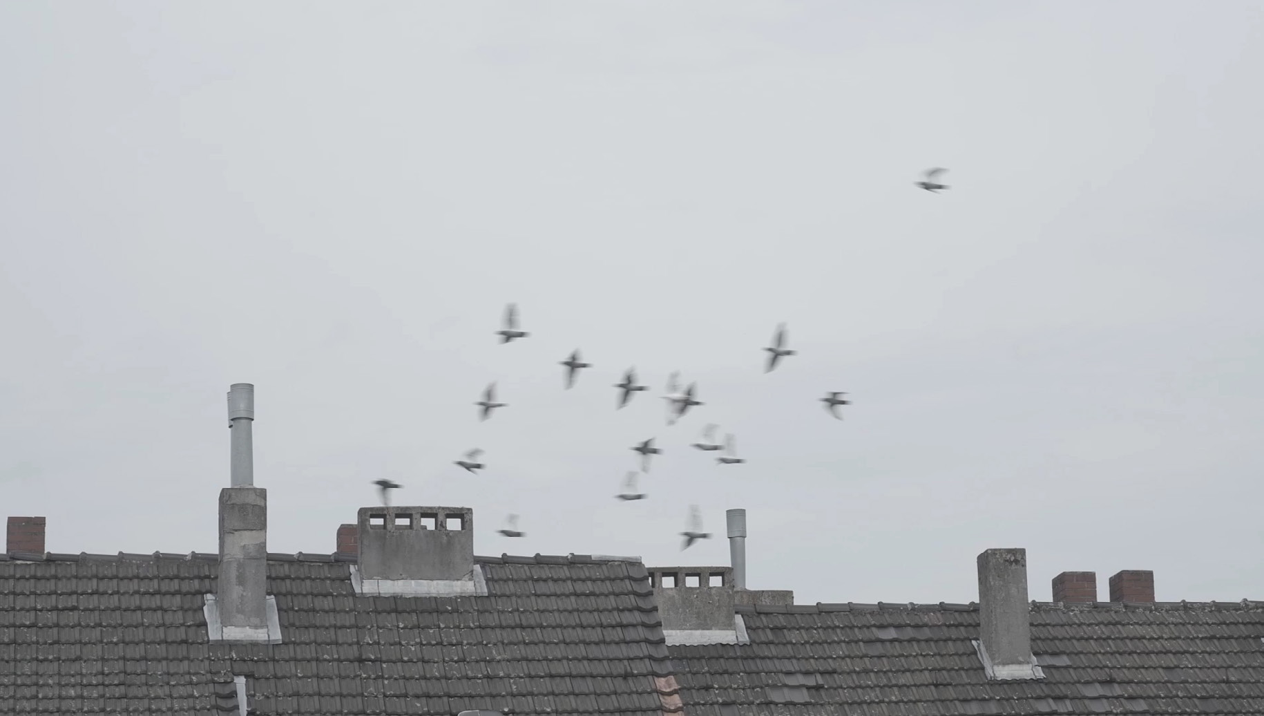 Thinking in Dualism filmstill copyright Pai Litzenberger