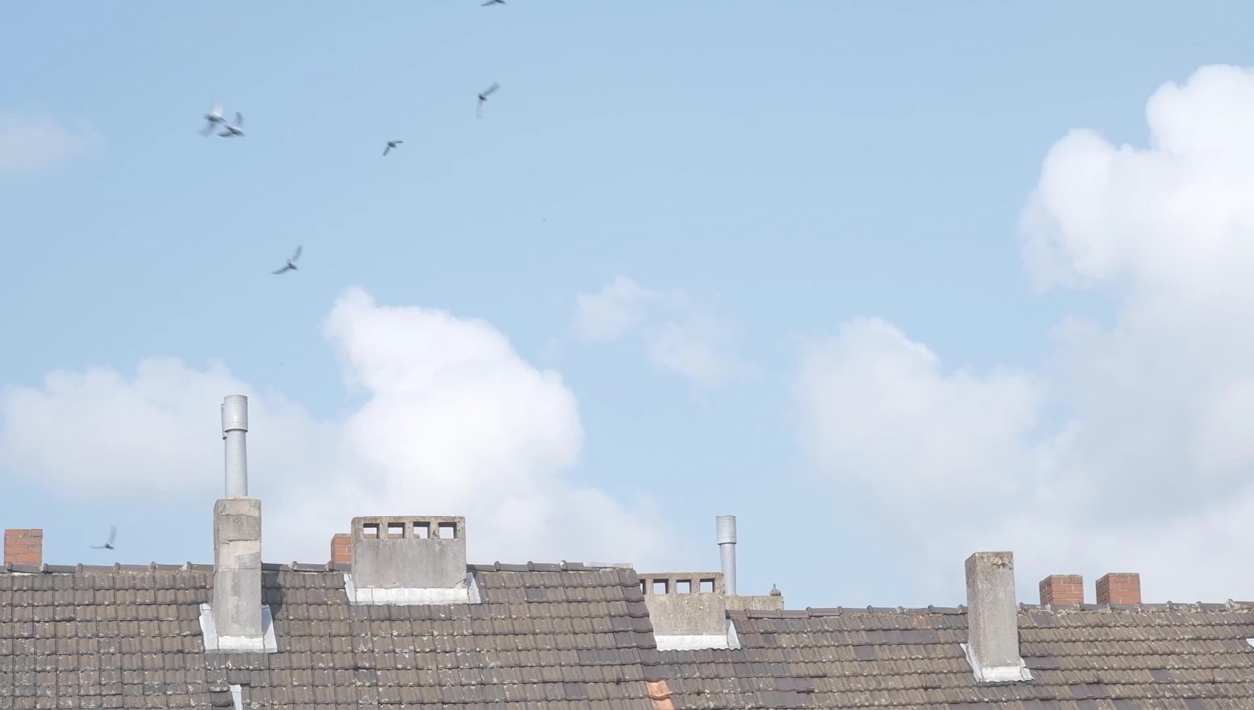 Neolithic Mourning filmstill copyright Pai Litzenberger