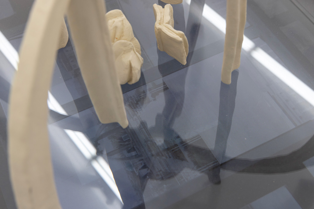 AvestoPark copyrightCornelisGollhardt