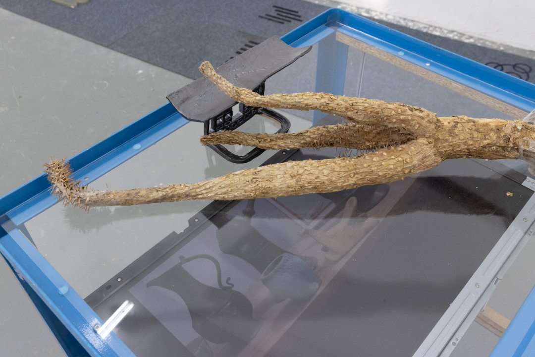 AvestoPark copyrightCornelisGollhardt