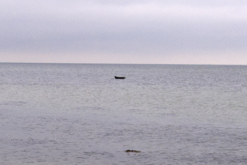 Residency Samso Fieldrecording copyright Pai Litzenberger