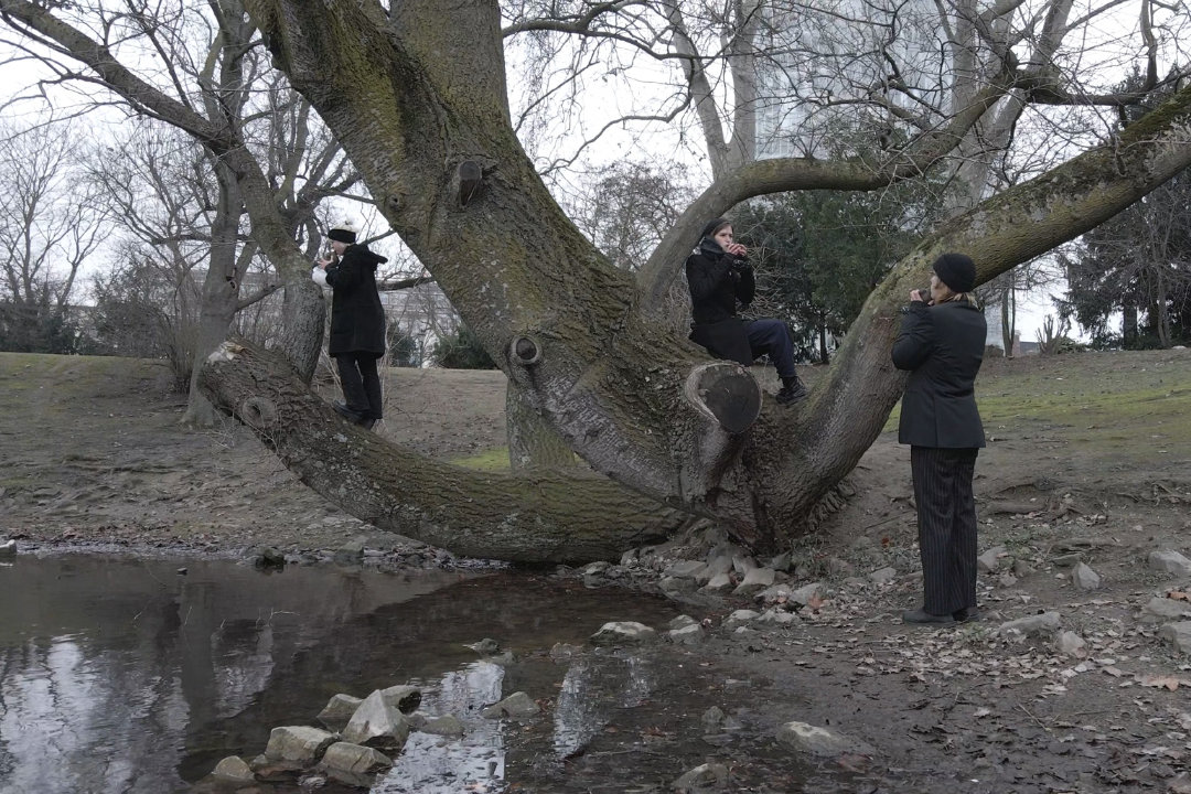 object permanence/ environmental noise filmstill copyright Ramin Aryaie