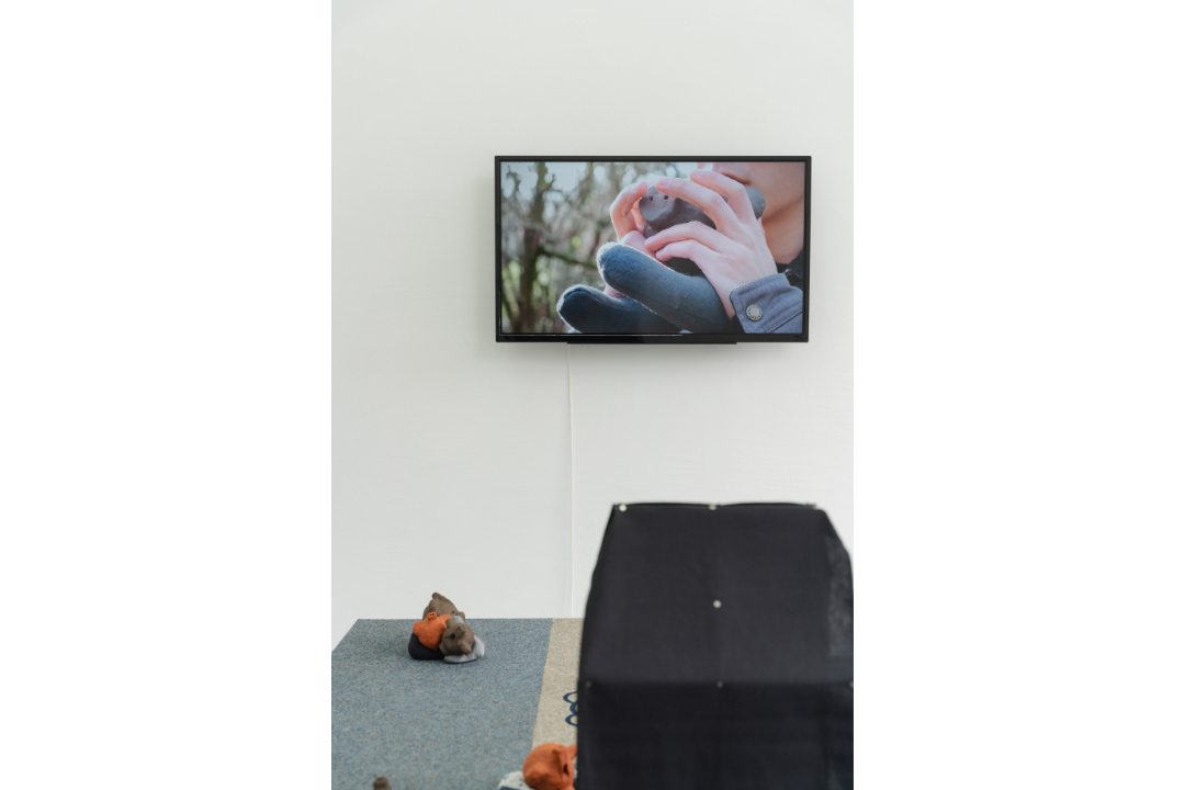 object permanence/ velocity of inhalation copyright Chandra Sperle