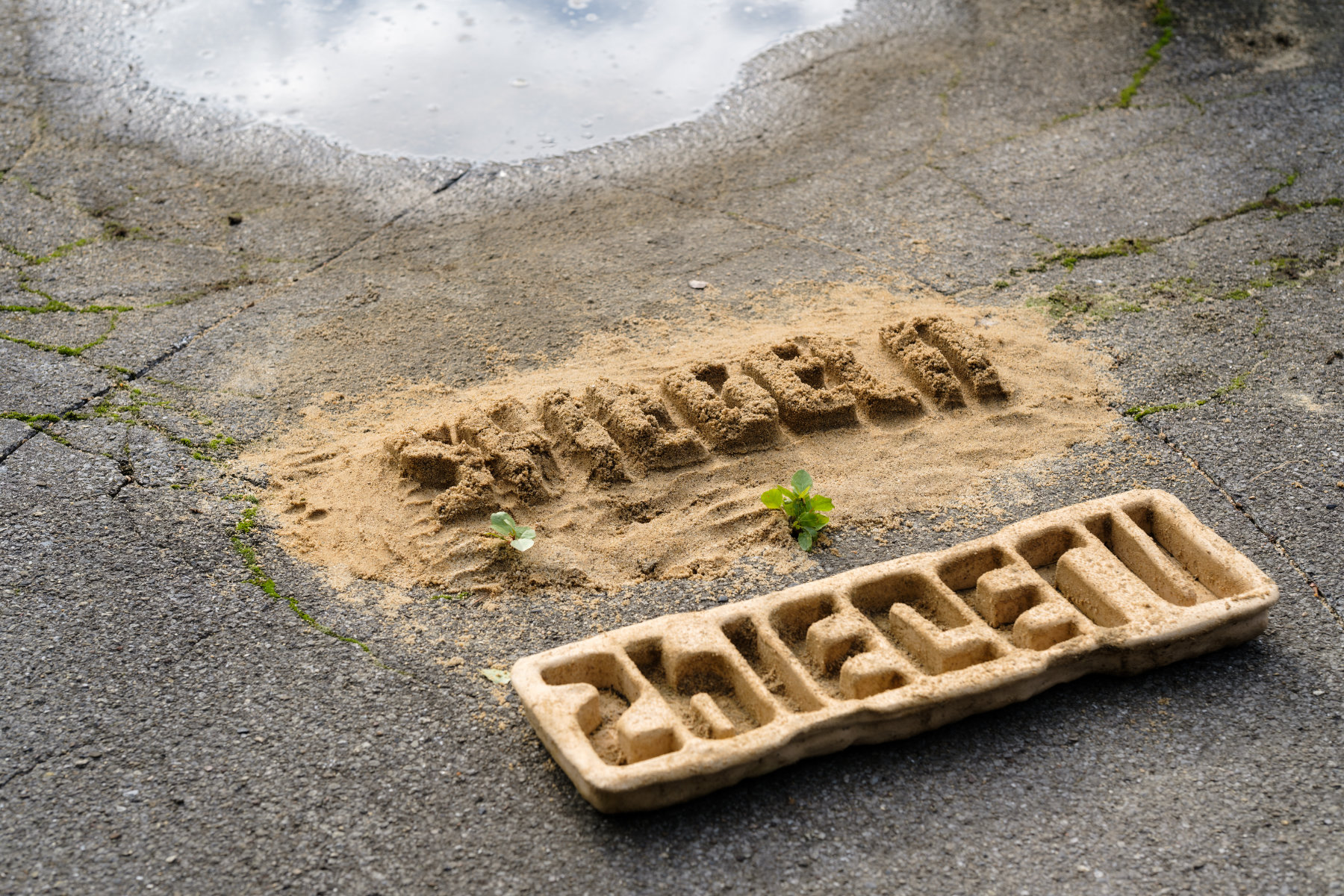 Ich gebe dir ein Wort copyright Pai Litzenberger