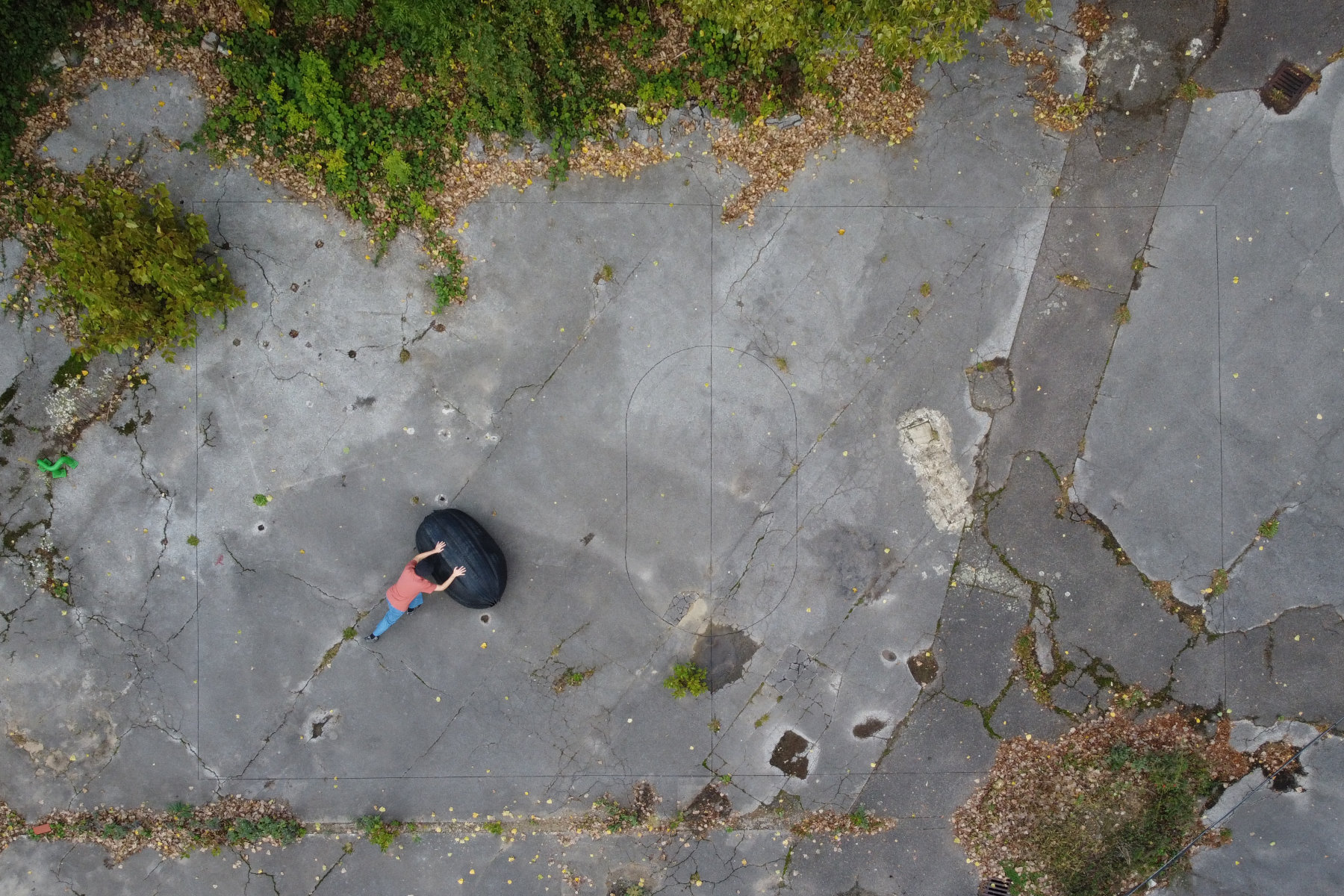 Ich gebe dir ein Wort copyright Pai Litzenberger