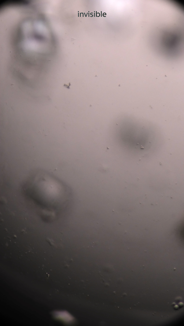 Here I will place a tear-Film Still copyright Pai Litzenberger