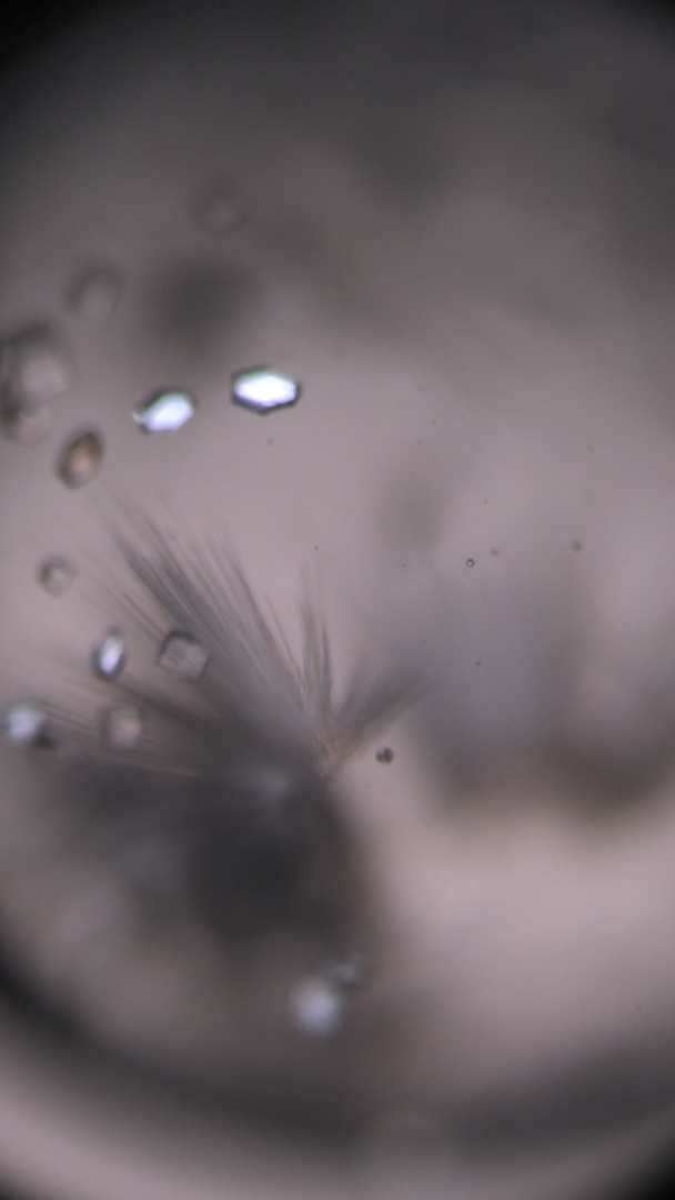 Here I will place a tear-Film Still copyright Pai Litzenberger