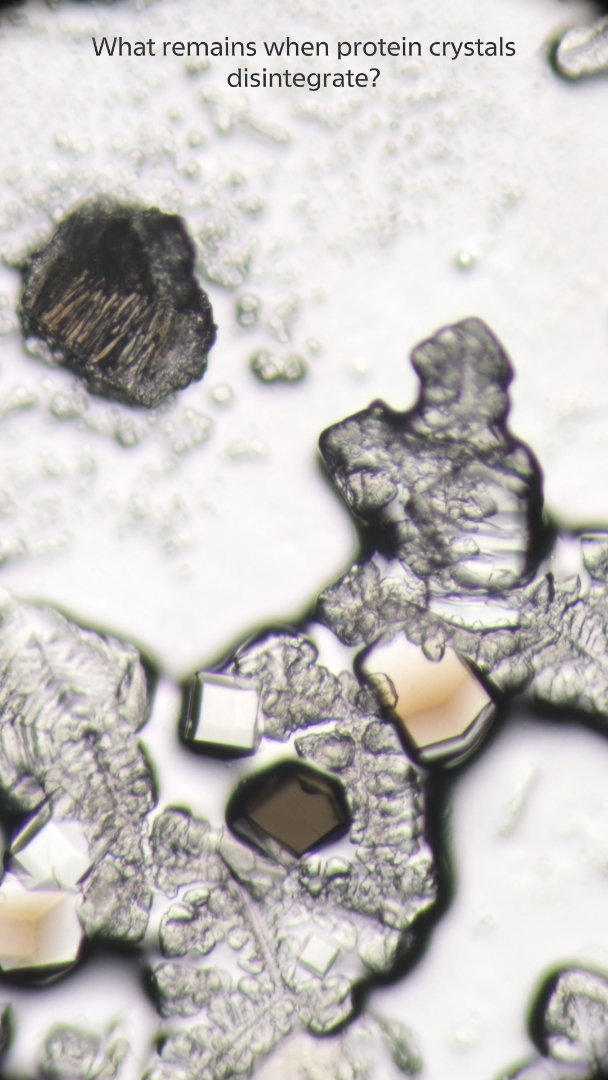 Here I will place a tear-Film Still copyright Pai Litzenberger